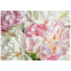 Фотообои Цветочный зефир Модный Дом