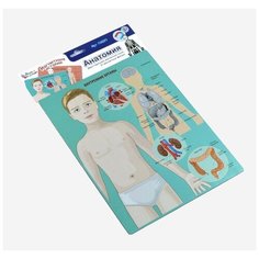 Настольная игра Десятое королевство Магнитные истории Анатомия