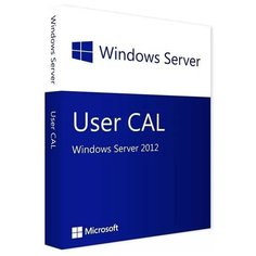 Microsoft Windows Server CAL 2012 Russian 1pk DSP OEI 1 Clt User CAL (R18-03746)