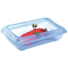 Террарриум с подставкой, сборный, открытый Imac Alantis голубой