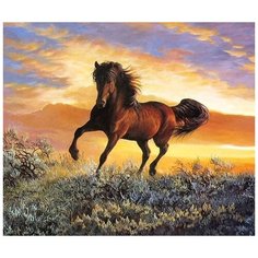 Горделивый конь / Картина по номерам / Картина красками / Подарок своими руками Colibri