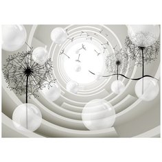 Фотообои Лото Модный Дом