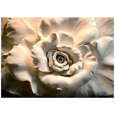 Фотообои Роза Модный Дом