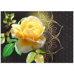 Фотообои Пышный желтый цветок Модный Дом