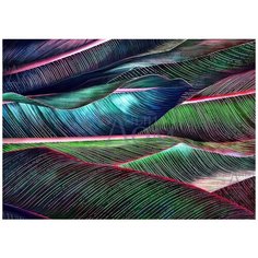 Фотообои Волны павлина 2 Модный Дом