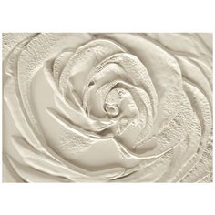 Фотообои Текстура цветка Модный Дом