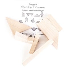 Головоломка "Т-5" (дерево) Планета головоломок