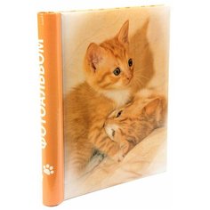Фотоальбом Veld co 64469 20 "магнитных"листов 23X28см Puppies and kittens