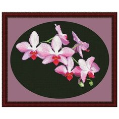 Набор для вышивания мулине Юнона 0116 Ветка орхидеи Unona