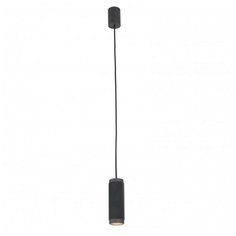 Подвесной светильник светодиодный черный Favourite Kinescope 2452-1P