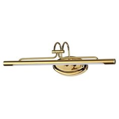 Подсветка для картин светодиодная Bacca 4906/8WL (Odeon Light)
