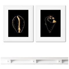 Набор из 2-х репродукций картин в раме Seashells Размер картины: 42х52см