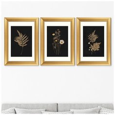 Набор из 3-х репродукций картин в раме Flower herbarium, No1 Размер картины: 50,5х70,5см