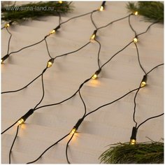 Гирлянда "Сеть" 2 х 2 м , IP20, тёмная нить, 224 LED, свечение тёплое белое, 8 режимов, 220 В Luazon Lighting