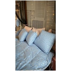 Пуховое одеяло Lucky Dreams Мишель 200х220