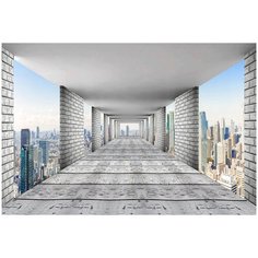 Фотообои DIVINO Тоннель с видом на менаполис 400х270