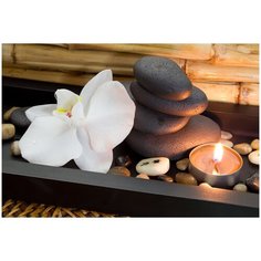 Фотообои DIVINO/P коллекцияОрхидея у камней 400х270