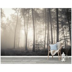 N01804 Фотообои Флизелиновые с виниловым покрытием Фотообои Природа Туманный Лес 400х270 см Barton Wallpapers