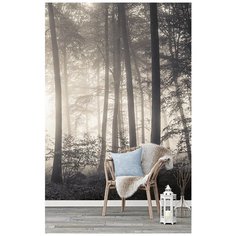 N01802 Фотообои Флизелиновые с виниловым покрытием Фотообои Природа Туманный Лес 200х270 см Barton Wallpapers