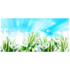 Фотообои DIVINO/T коллекцияПодснежники 300*147