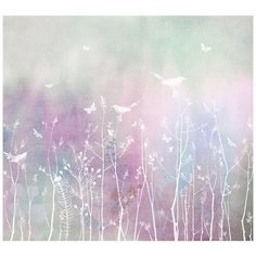 Фотообои DIVINO/T коллекцияПтицы на ветках 300*270