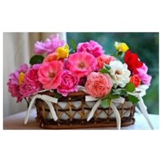 Холст с красками по номерам 22х30 см. Корзина нежных цветов (Арт. HS259) Рыжий кот