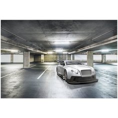 Фотообои DIVINO/P коллекцияСеребряный авто 400х270