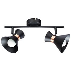 Спот Arte Lamp BALTIMORE A1406AP-2BK