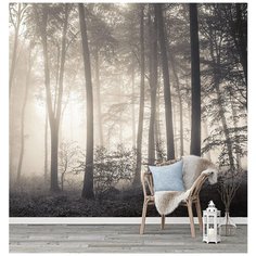 N01803 Фотообои Флизелиновые с виниловым покрытием Фотообои Природа Туманный Лес 300х270 см Barton Wallpapers