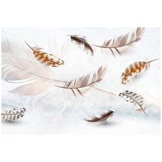 Фотообои DIVINO/T коллекцияПерья 400*270