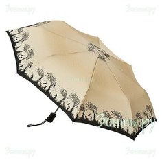 Зонт Fulton R346-2897