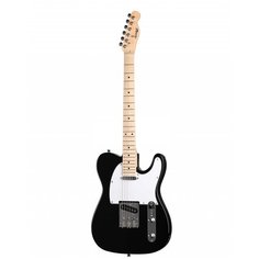 Электрогитара Telecaster(S-S), Homage
