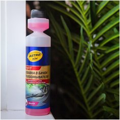 Жидкость стеклоомывателя летняя 250 мл ASTROhim BugOff / омывающая жидкость с ароматом вишни (омывайка летняя), концентрат АС-412