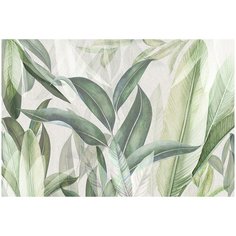 Фотообои виниловые на флизелиновой основе Polimar "Экзотические листья", Арт. 144-390, 400см х 270см (ШхВ)