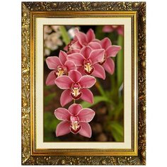 Алмазная мозаика Милато "Дикая орхидея" N-373 Milato