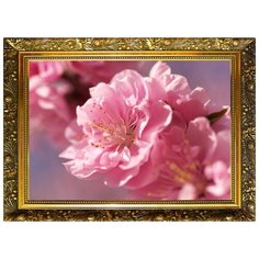 NR-5 Алмазная мозаика Милато "Изящность цветения" Milato