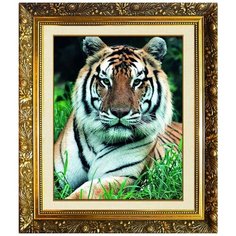 N-322 Алмазная мозаика милато "Гордый взгляд" Milato