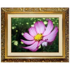 Алмазная мозаика Милато "Космея" N-105 Milato