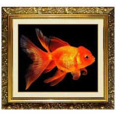 N-374 Алмазная мозаика милато "Исполнение желаний" Milato