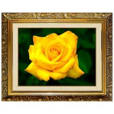 Алмазная мозаика Милато "Желтая роза" N-126 Milato