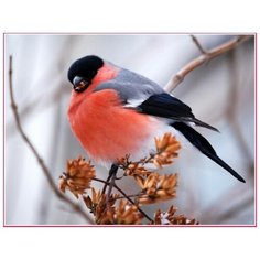 2848 Алмазная мозаика Алмазное хобби "Снегирь"