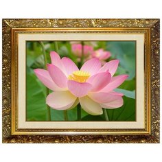 Алмазная мозаика Милато "Лотос" N-123 Milato