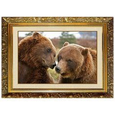 F-364 Алмазная мозаика милато "Медвежья нежность" Milato