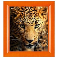 Алмазная мозаика Милато "Взгляд леопарда" N-234 Milato