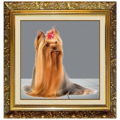 F-123 Алмазная мозаика милато "Домашний любимчик" Milato