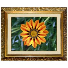 Алмазная мозаика Милато "Африканская ромашка" N-117 Milato