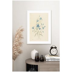 Винтажный постер Postermarkt "Иллюстрация цветов №9", в белой рамке 40х50 см