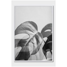 Черно-белый постер на стену для интерьера Postermarkt Листья монстеры №2, постер в белой рамке 40х50 см, постеры картины для интерьера в белой рамке