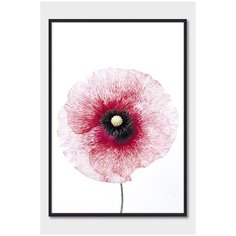 Постер на стену для интерьера Postermarkt Красный цветок №2, постер в черной рамке 50х70 см, постеры картины для интерьера в черной рамке