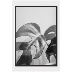 Черно-белый постер на стену для интерьера Postermarkt Листья монстеры №2, постер в черной рамке 30х40 см, постеры картины для интерьера в черной рамке